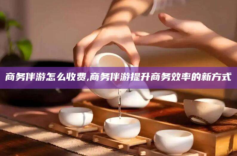 雅安商务伴游怎么收费,商务伴游提升商务效率的新方式